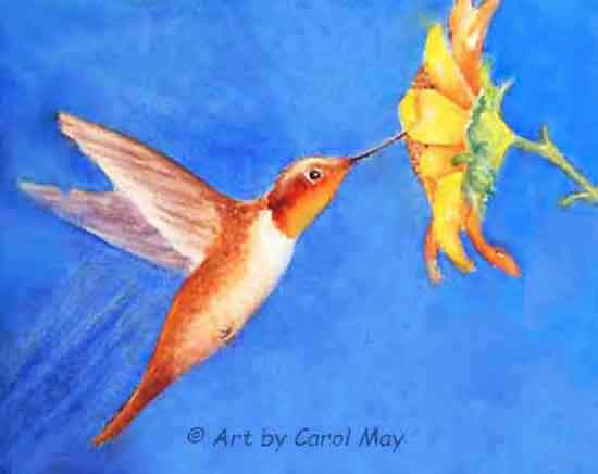 Learn the basics of watercolor for beginners.